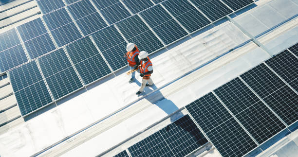 Best Roof Moss and Algae Removal  in Orange Beach, AL